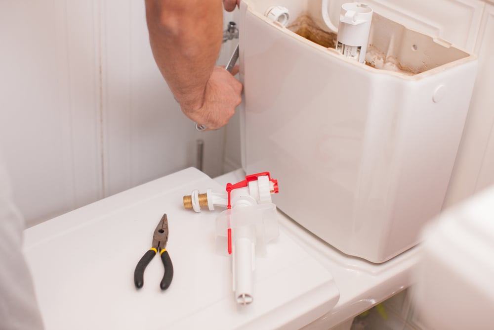 Common Reasons Why Your Toilet Tank is Leaking